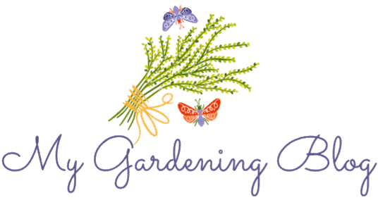 my gardening blog